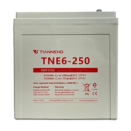 Ắc Quy Thiên Năng TNE6-250 (6V – 250Ah)